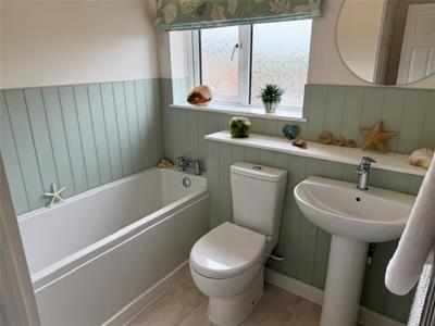 Picture 14